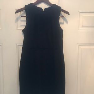 Ann Taylor Loft Shift Dress